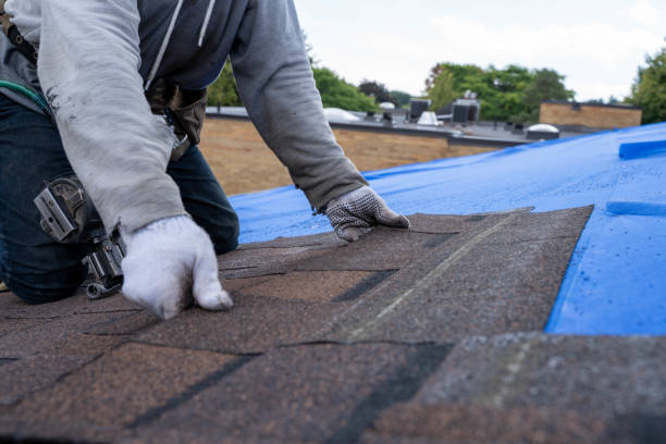 Roof Waterproofing Services in New Orleans, LA